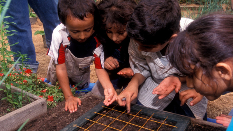 Outdoor image of kids looking at soil