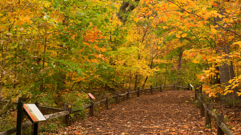 Outdoor photo of a path